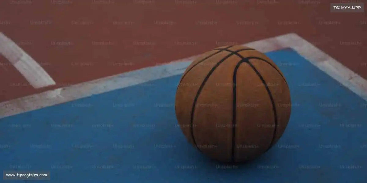 <strong>星空官网</strong>🏂雪地上的飞驰，是自由与激情的碰撞！